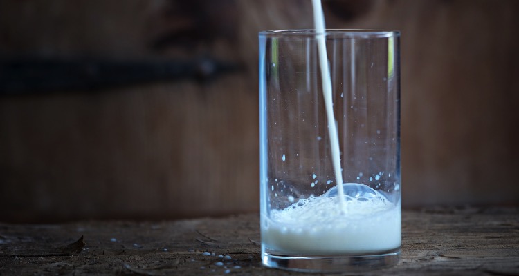 Kuhmilch und andere Milchprodukte