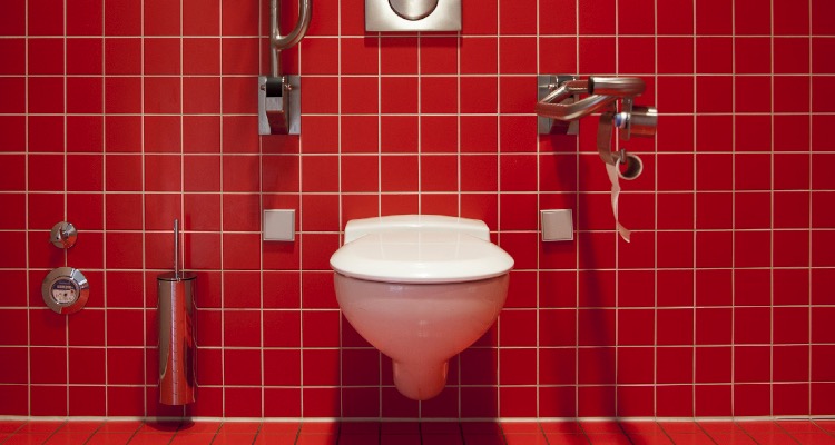 Die Toilettenspülung reparieren